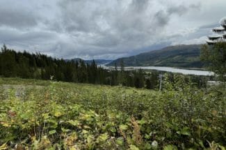 Naturbild Åre