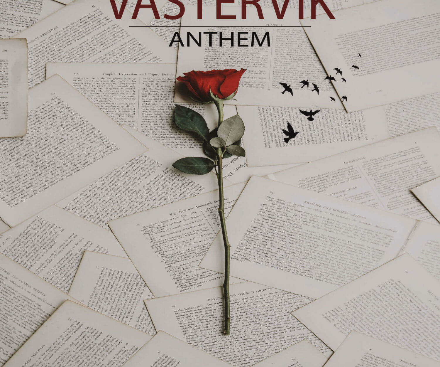 Vastervik omslag 2022