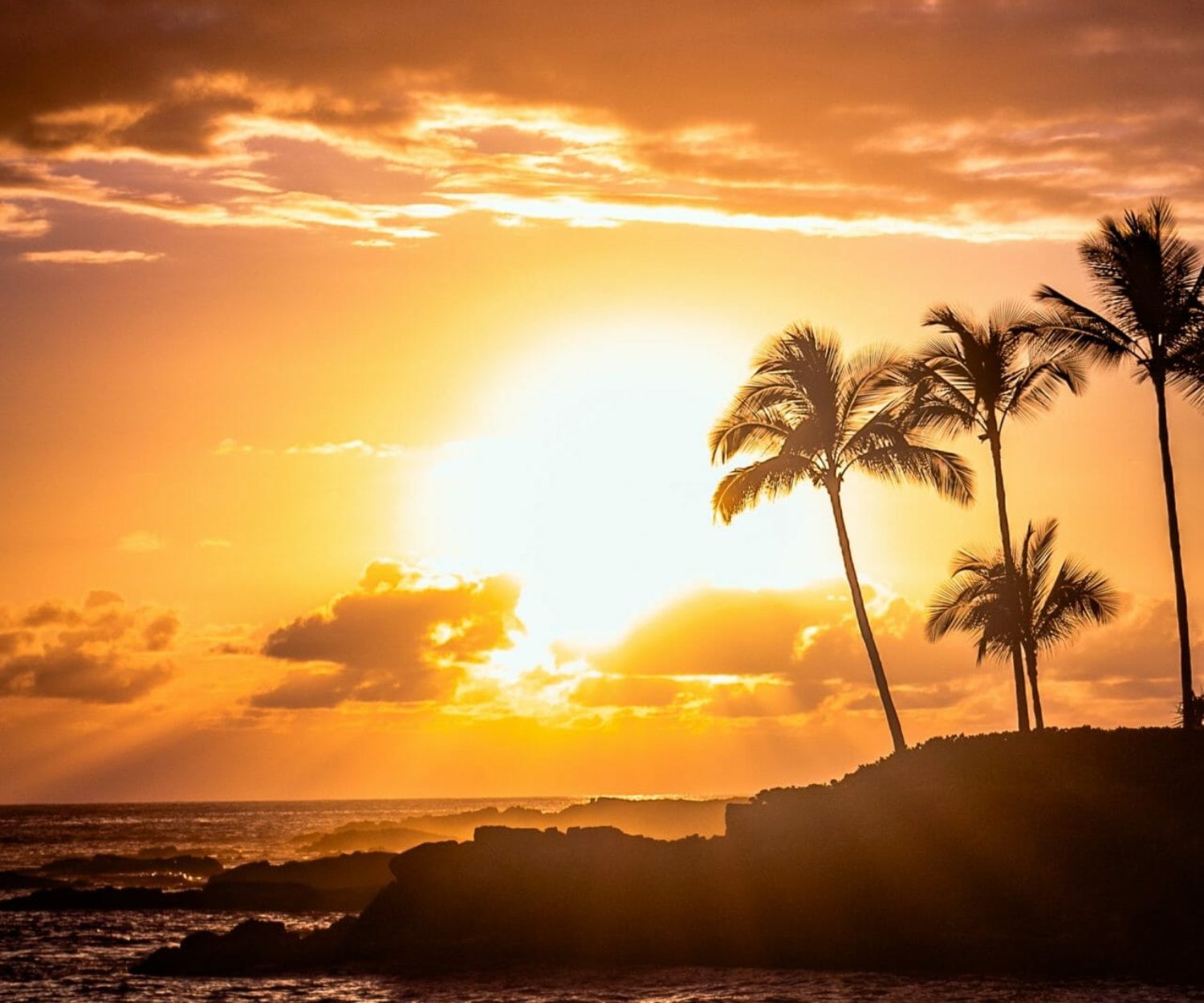 peter-luo-pdnkwhWdRzc-unsplash