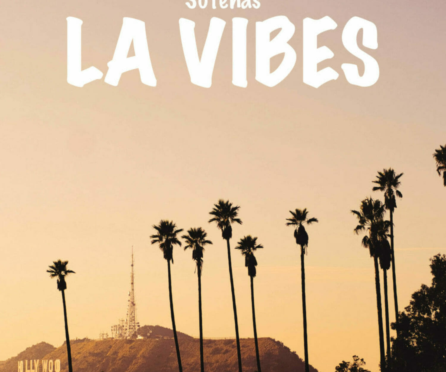 illustrator omslag sotenas