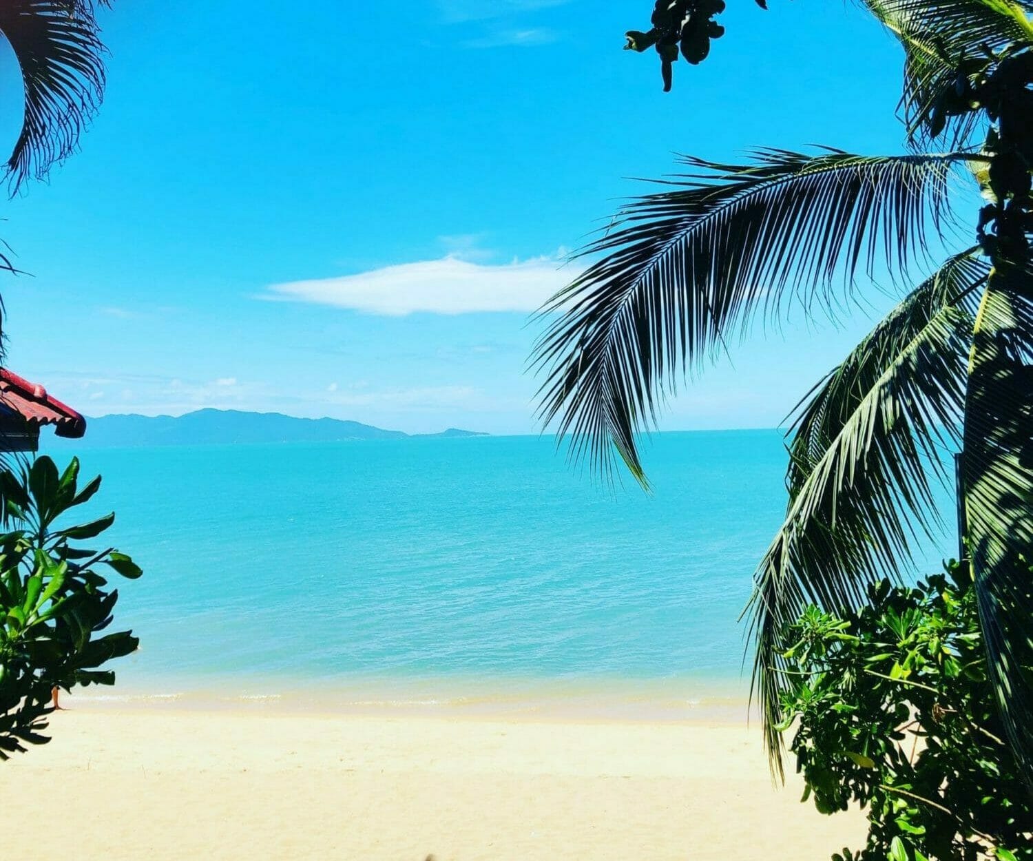 lita-ruza-oqEGgmOAA o-unsplash