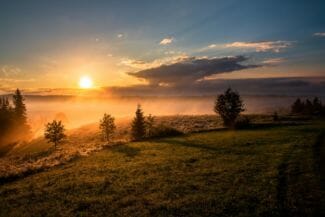 Bild på natur